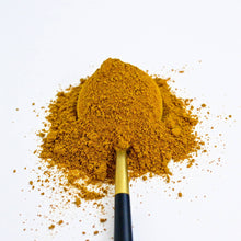 Load image into Gallery viewer, Good Day Latte - Functional Turmeric Latte Mix (Case of 10)
