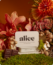 Load image into Gallery viewer, Brainstorm — mushroom chocolate supplement for focus